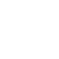 flagship_program